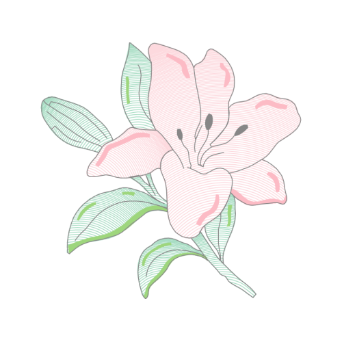 M 02Csf Animals M 02Csf Animals