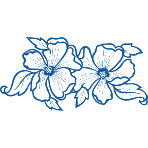 M 02Csf Animals M 02Csf Animals