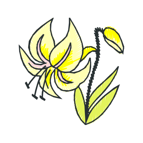 M 02Csf Animals M 02Csf Animals