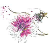 M 02Csf Animals M 02Csf Animals