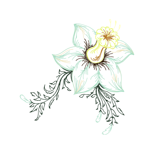 M 02Csf Animals M 02Csf Animals