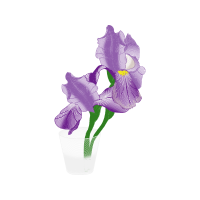 M 02Csf Animals M 02Csf Animals