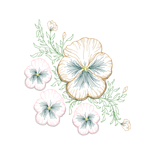 M 02Csf Animals M 02Csf Animals