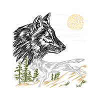 Mackenzie River Husky Animals