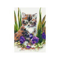 Malayan Cat Animals Malayan Cat Animals