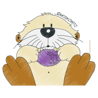 Maltese Dog Animals Maltese Dog Animals