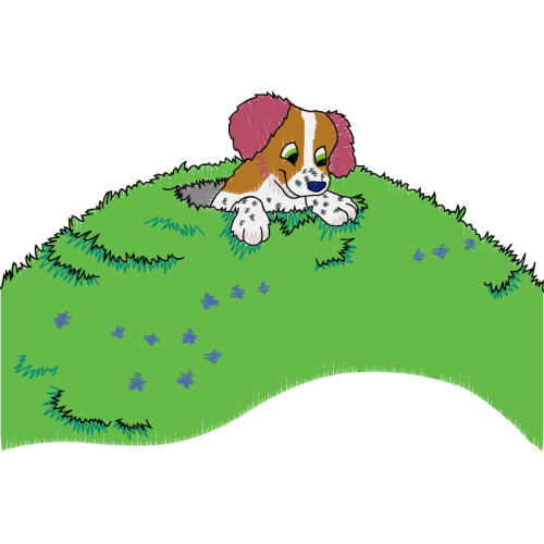 Maltese Dog Animals Maltese Dog Animals