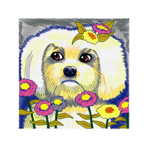 Maltese Dog Animals Maltese Dog Animals