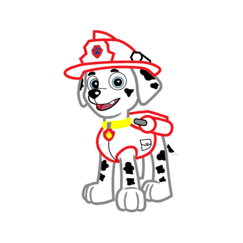 Marshall Animals Marshall Animals