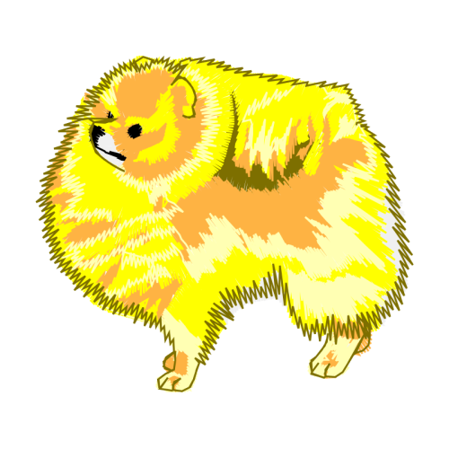 Marsupials Animals Marsupials Animals