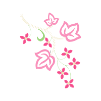 Memorize Flashcards Animals Memorize Flashcards Animals