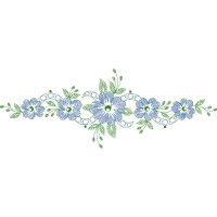 Meter Animals Meter Animals