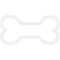 Meter Animals Meter Animals