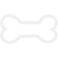 Meter Animals Meter Animals