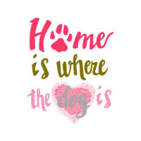 Meter Animals Meter Animals