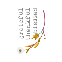 Meter Animals Meter Animals