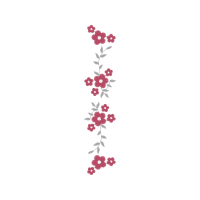 Meter Animals Meter Animals