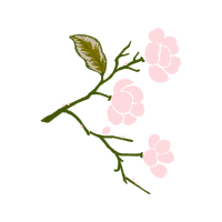 Meter Animals Meter Animals