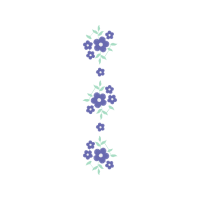 Meter Animals Meter Animals