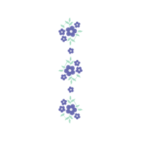 Meter Animals Meter Animals