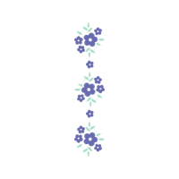 Meter Animals Meter Animals