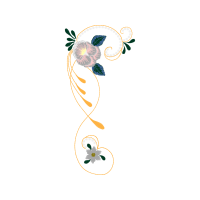 Meter Animals Meter Animals