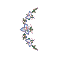 Meter Animals Meter Animals