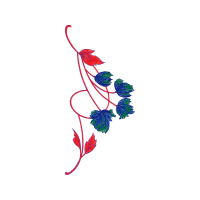 Meter Animals Meter Animals