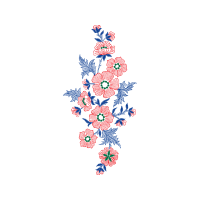 Meter Animals Meter Animals