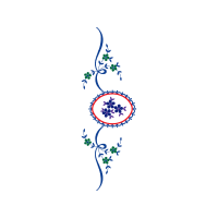 Meter Animals Meter Animals