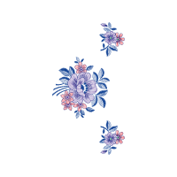 Meter Animals Meter Animals