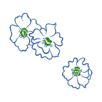 Meter Animals Meter Animals