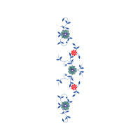 Meter Animals Meter Animals