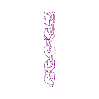 Meter Animals Meter Animals