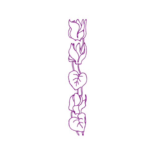 Meter Animals Meter Animals