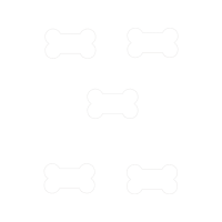 Meter Animals Meter Animals