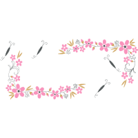 Meter Animals Meter Animals