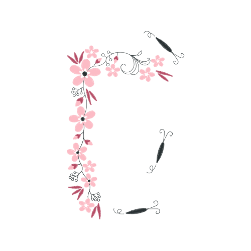 Meter Animals Meter Animals