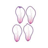 Meter Animals Meter Animals