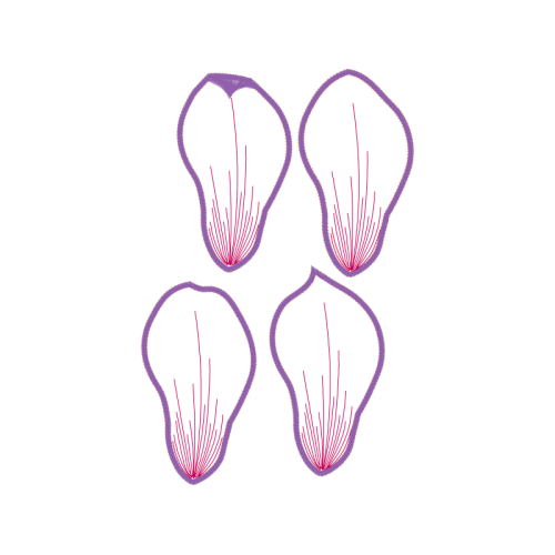 Meter Animals Meter Animals