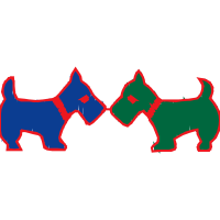 Miniature Bull Terrier Animals