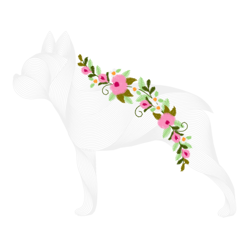 Miniature Fox Terrier Animals Miniature Fox Terrier Animals