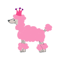 Miniature Fox Terrier Animals