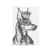 Miniature Pinscher Animals