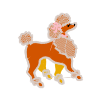 Miniature Poodle Animals