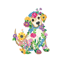 Miniature Poodle Animals