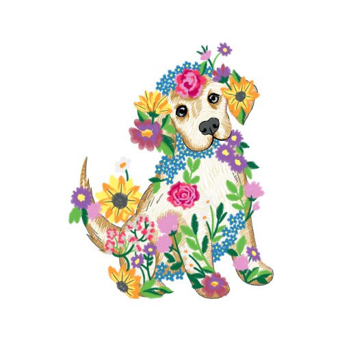 Miniature Poodle Animals Miniature Poodle Animals