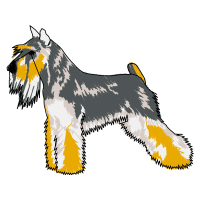 Miniature Schnauzer Animals