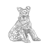 Miniature Schnauzer Animals