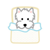 Miniature Schnauzer Animals